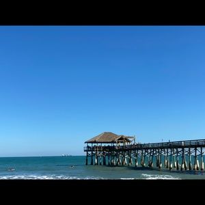 Meet your Posher, Ellie